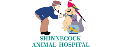 Shinnecock Animal Hospital-FooterLogo